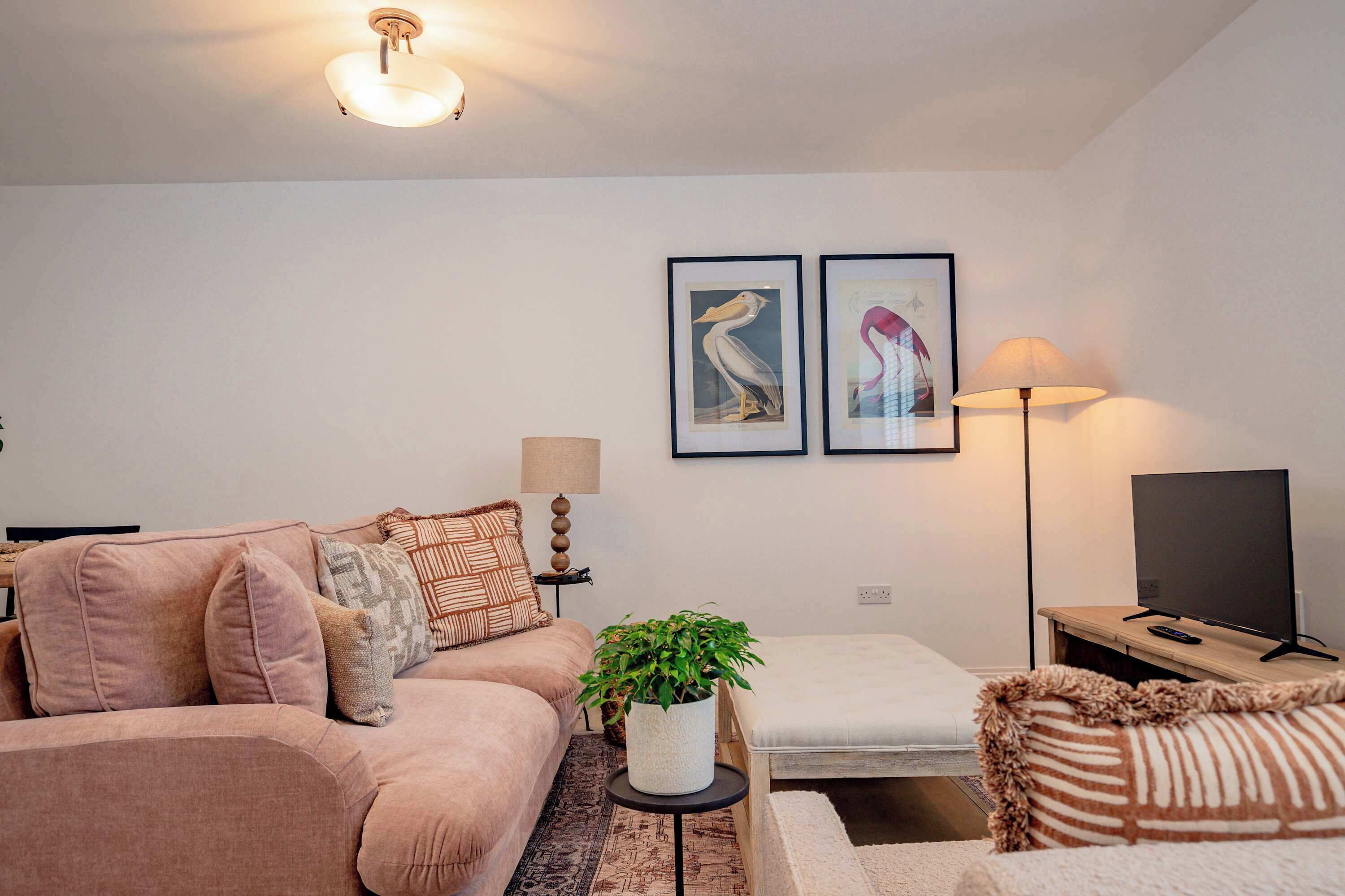 A living room with a sofa, a coffee table with a plant, a lamp, and a TV on a stand.