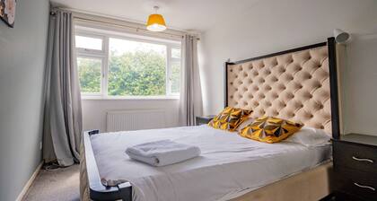 Host Stay Manfield Avenue