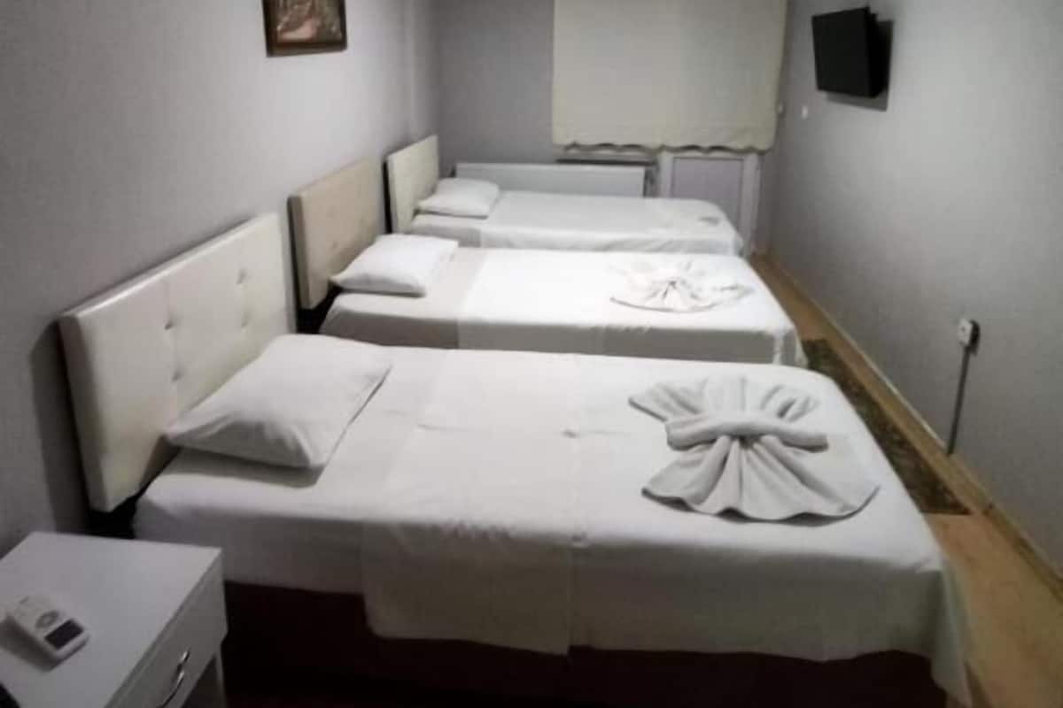 Standard Triple Room, City View | Soundproofing, free WiFi