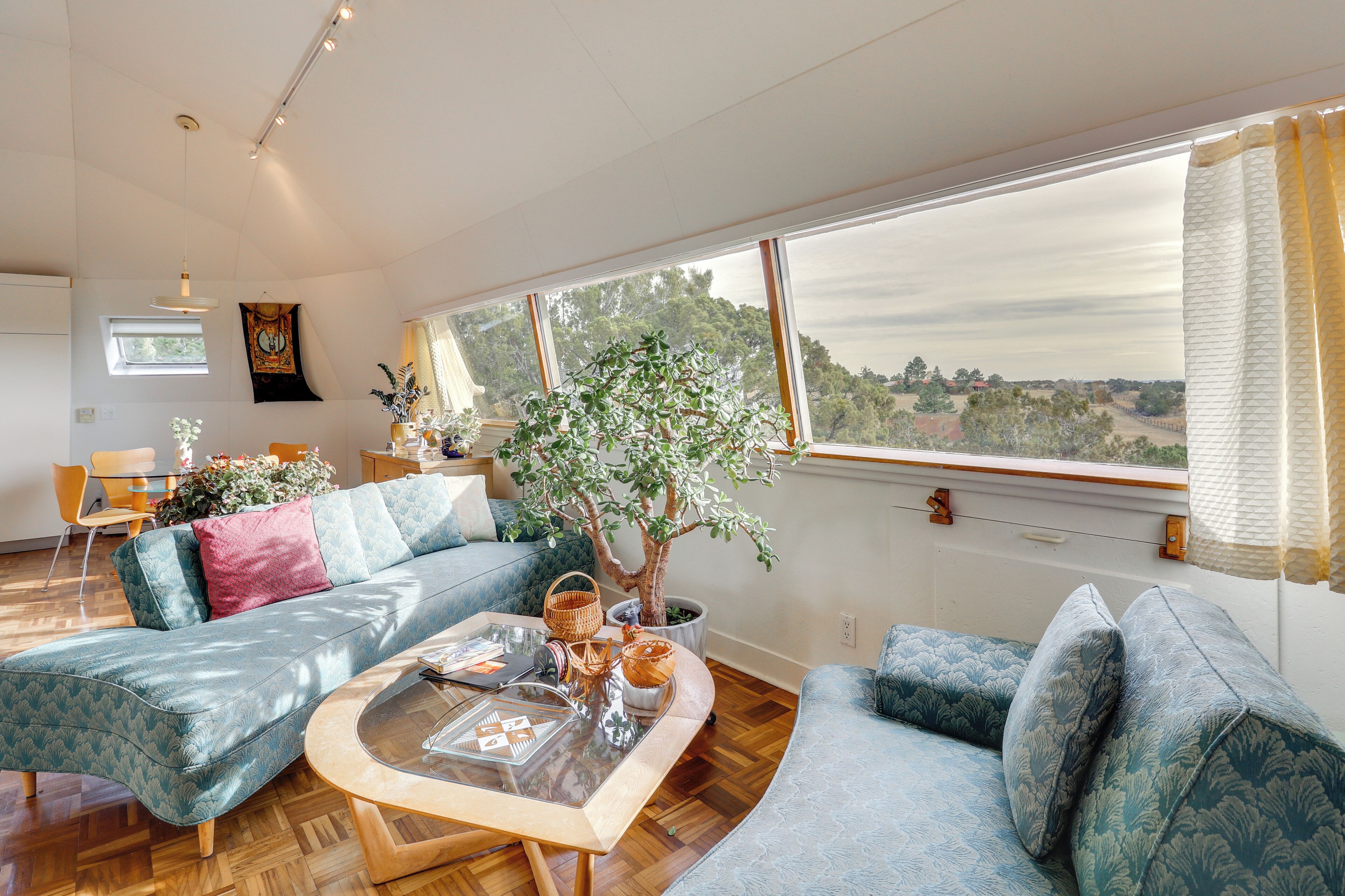 A spacious living room with a large window, a sofa, a coffee table, and a potted plant.