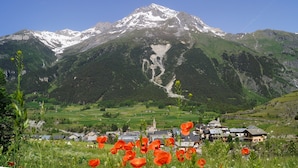 Un village de montagne avec des maisons, une église et un sommet enneigé en arrière-plan.