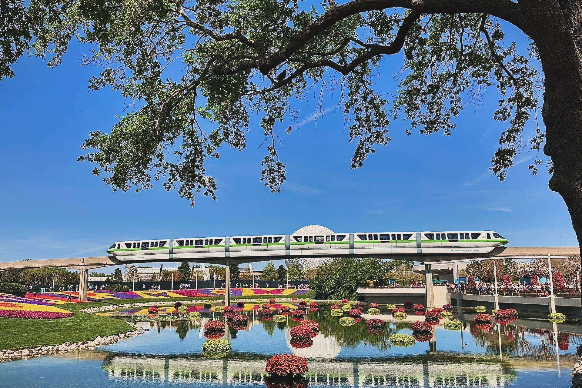 A modern train station with a green and white train, a bridge, and a flower garden with reflections in the water.