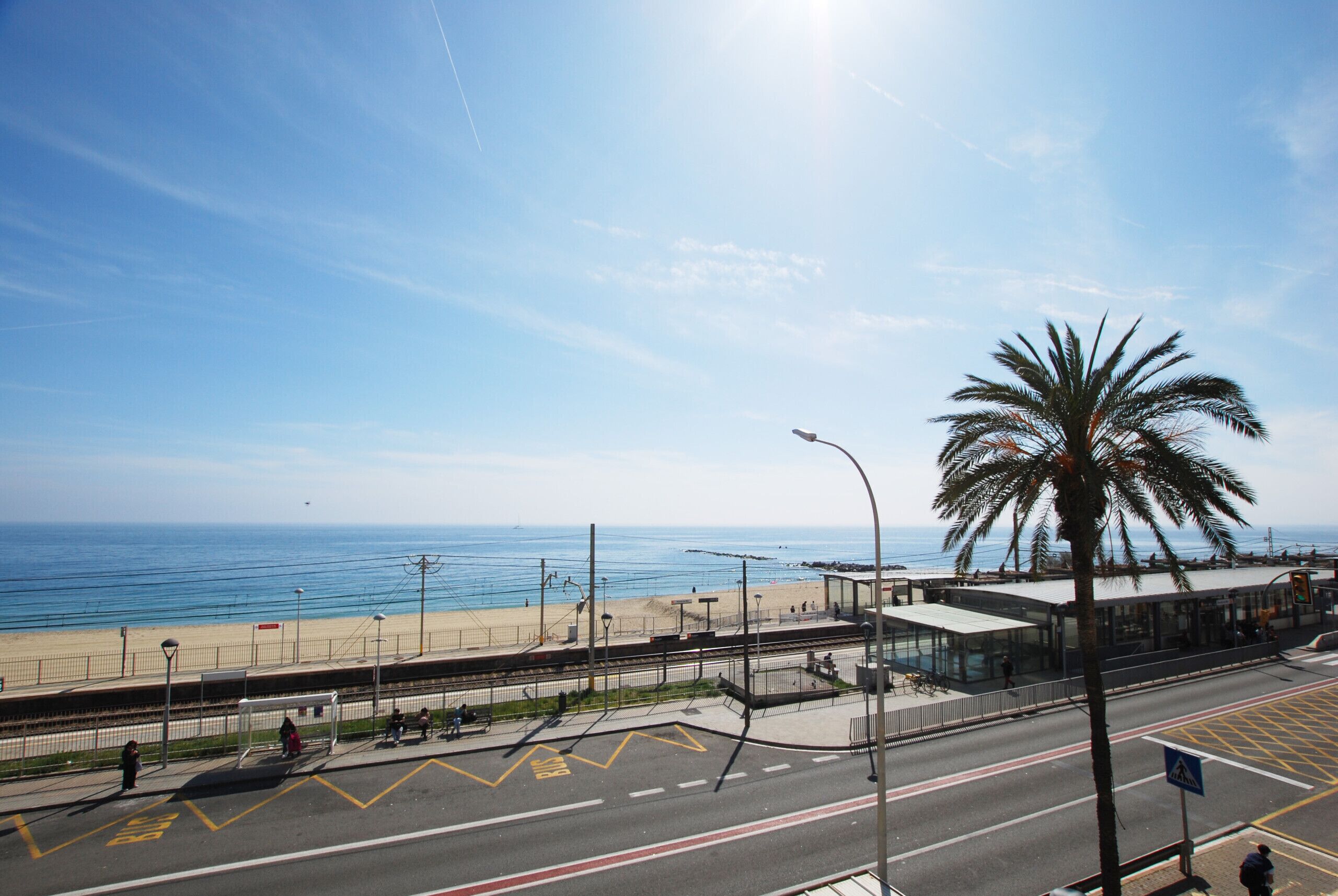 A coastal road with a pedestrian walkway, a palm tree, and a clear view of the beach and ocean.