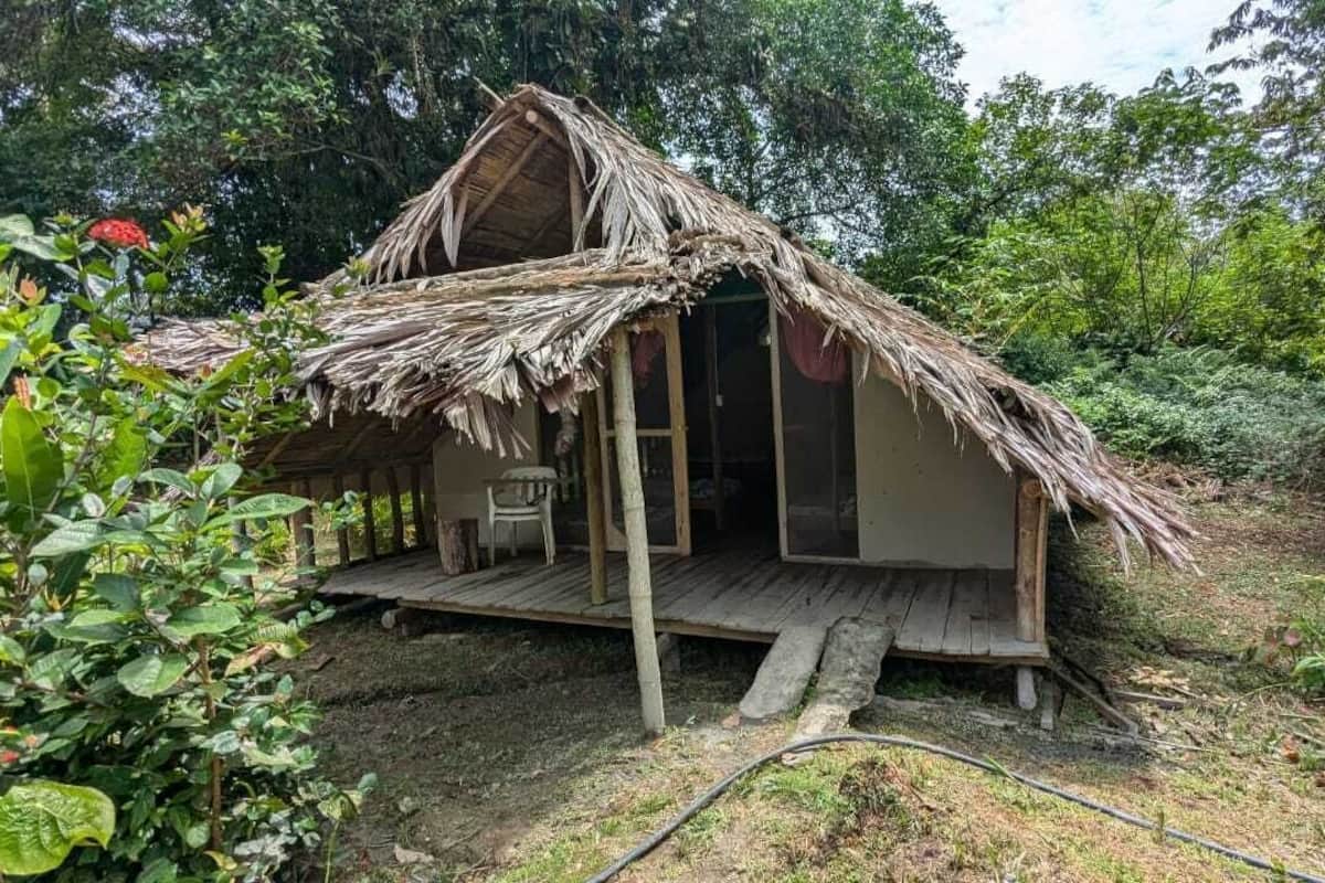 Een rustieke hut met rieten dak, houten terras en een enkele deur.