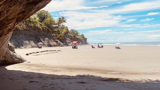 A beach with a rocky cliff, palm trees, and umbrellas.