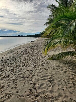 海灘、白沙、10 間海灘酒吧