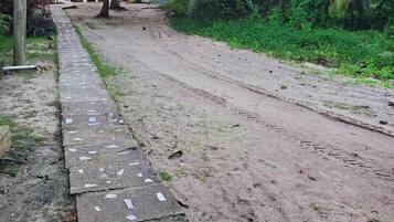 Un sendero pavimentado con papeles dispersos, rodeado de abundante vegetación y palmeras.