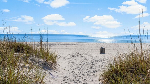 A sandy beach with a clear sky and a wooden post in the center.