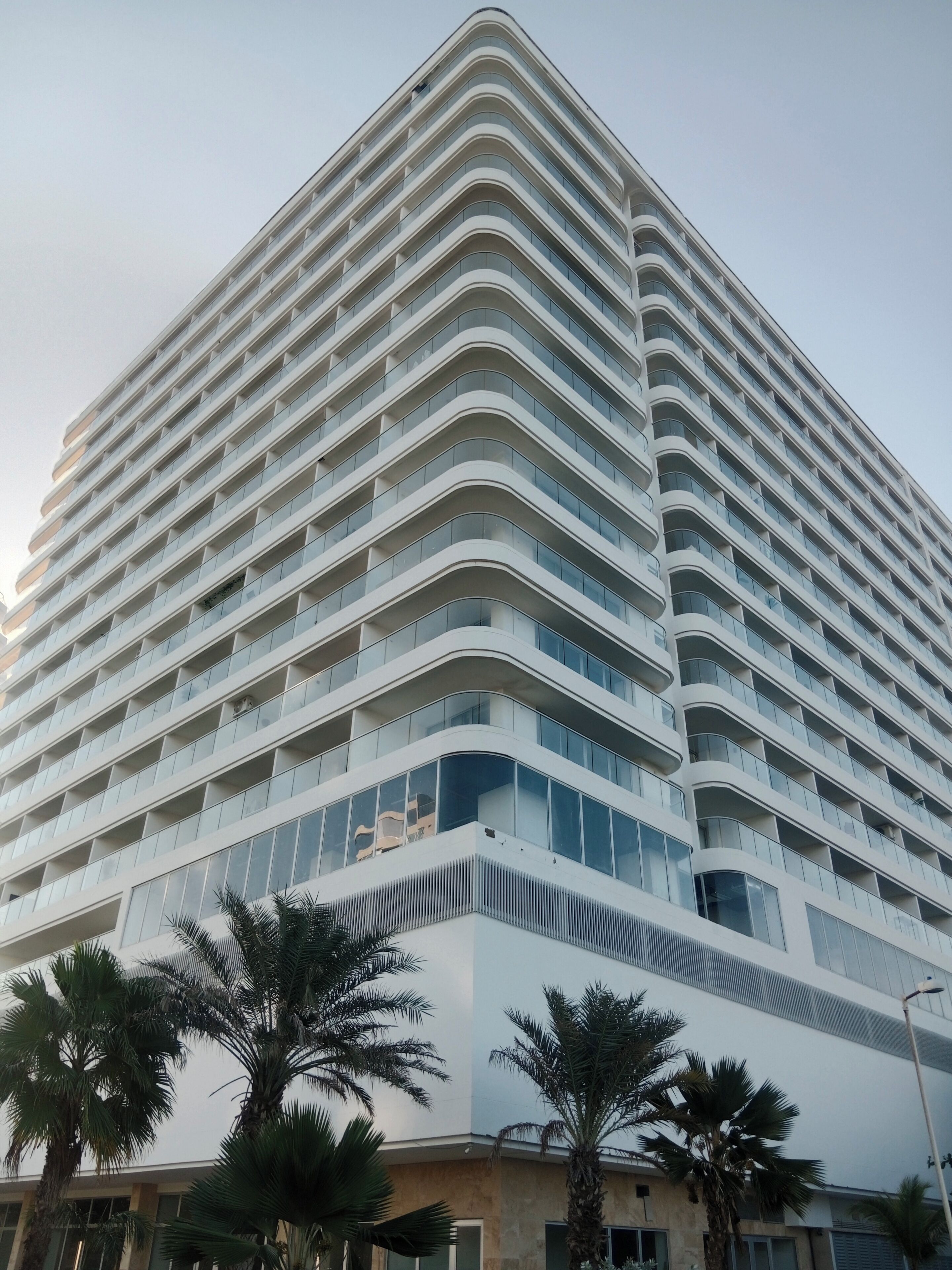 A tall, modern hotel with a curved facade, multiple balconies, and a central entrance with palm trees in the foreground.