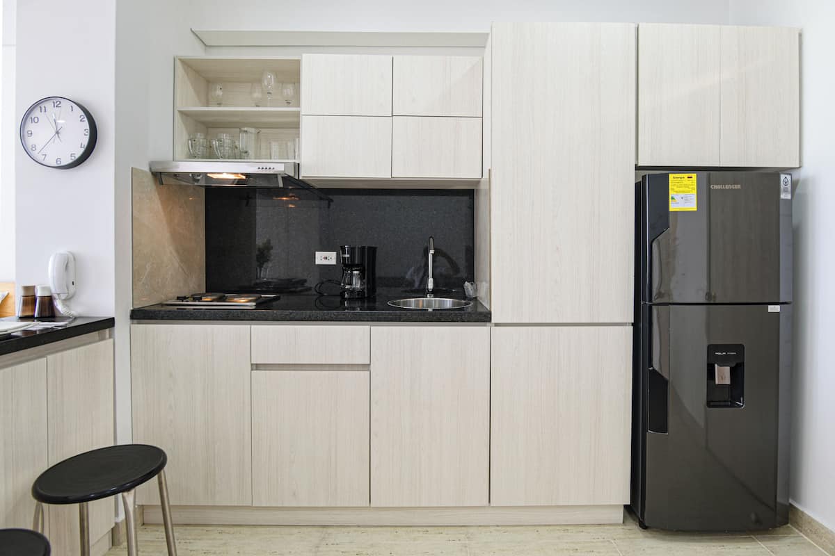 Fridge, stovetop, cookware/dishes/utensils, freezer