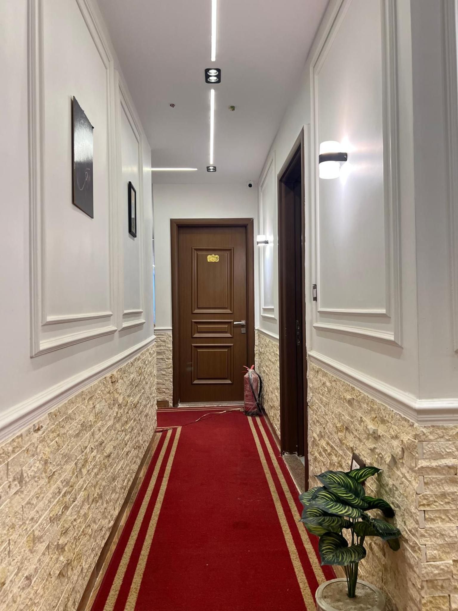 A hallway with a red carpet, a wooden door, and a potted plant.