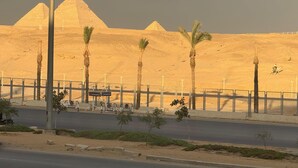 A paved road with a metal fence, palm trees, and a pyramid in the background. - New White Pyramids Inn (Giza)