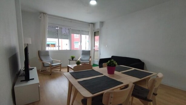 A compact living space with a dining table, chairs, a sofa, a TV, and a small plant.