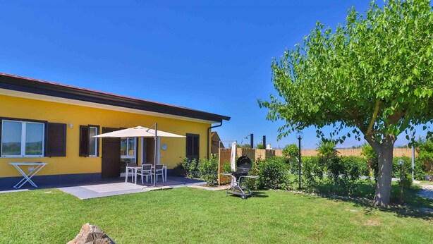 A yellow house with a patio, a barbecue grill, and a large tree.