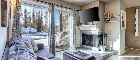 Smart-tv, pejs, dvd-afspiller