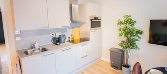 Contemporary Stylish 3BDR Apartment  PKA