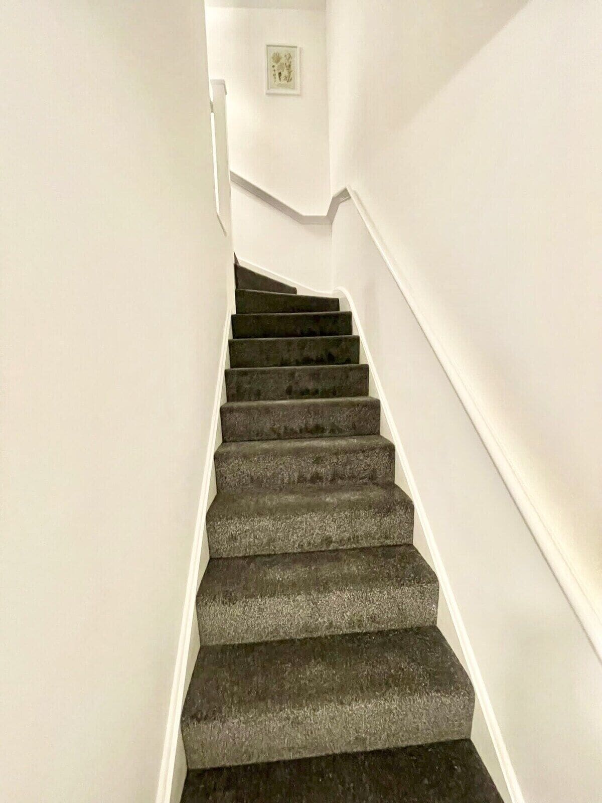 Plush carpeted stairway leading to upper bedrooms and baths