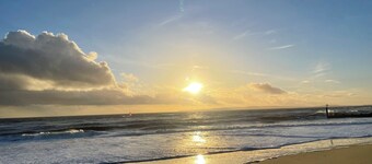 Lovely Bournemouth cottage with beautiful garden, walking distance to the beach