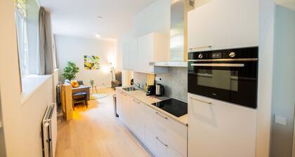 Luxury Urban 3BDR Apartment WS