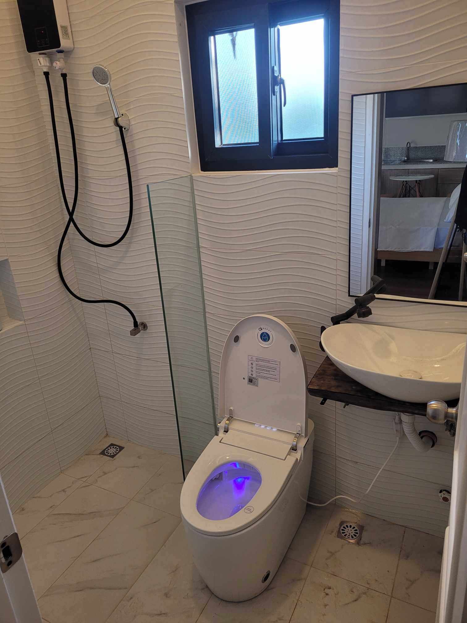 Shower, hair dryer, bidet, towels