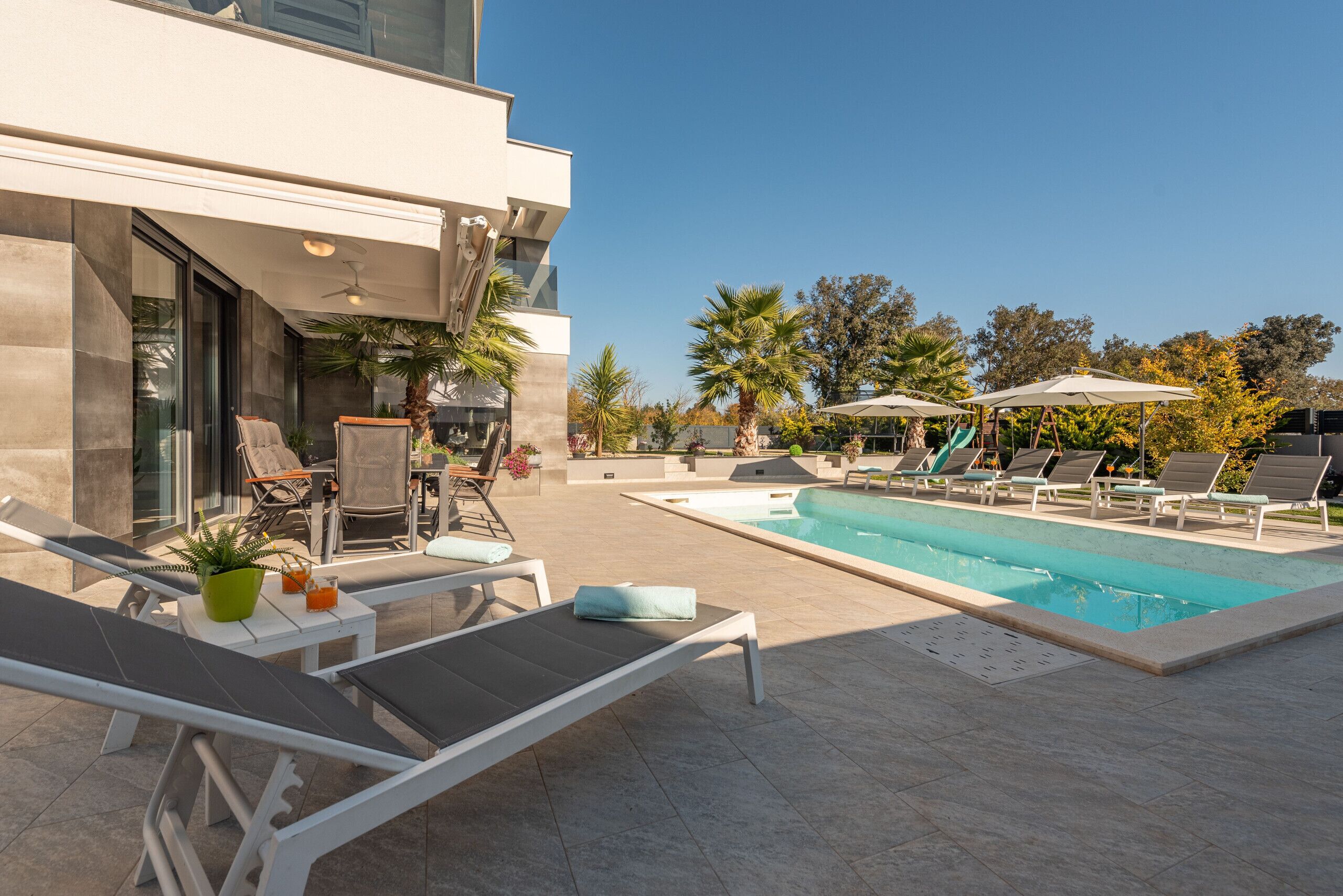 A modern outdoor pool area with lounge chairs and umbrellas, surrounded by palm trees and a clear sky.