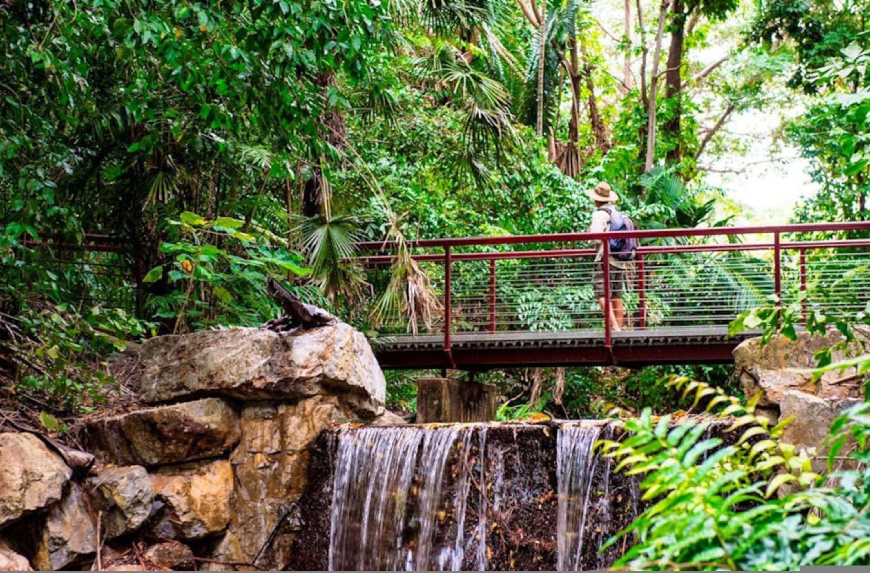A bridge over a waterfall surrounded by dense greenery.