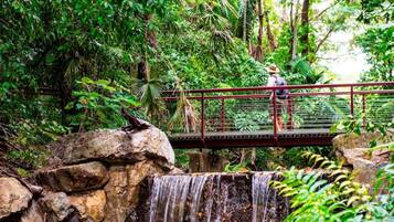 A bridge over a waterfall surrounded by dense greenery.
