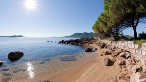 A clear beach with a stone wall, rocks, and a pine tree.