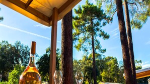 A wooden table with a bottle, glasses, and a plate, set outdoors with trees and a clear sky in the background.