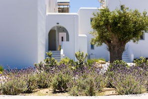 House | 7 bedrooms, desk