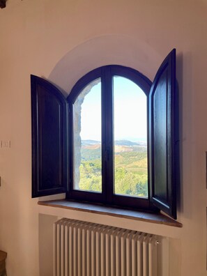 View from room - Podere Montale Winery (Seggiano)