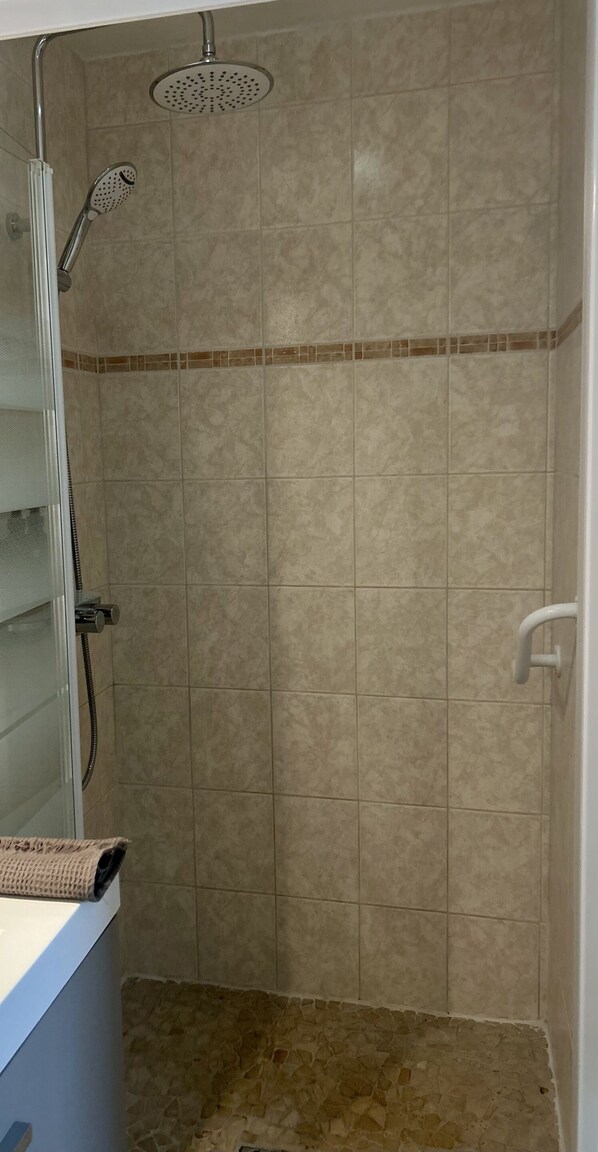 A shower with a handheld showerhead and a wall-mounted showerhead. - Demeure de L'estuaire (Plassac)