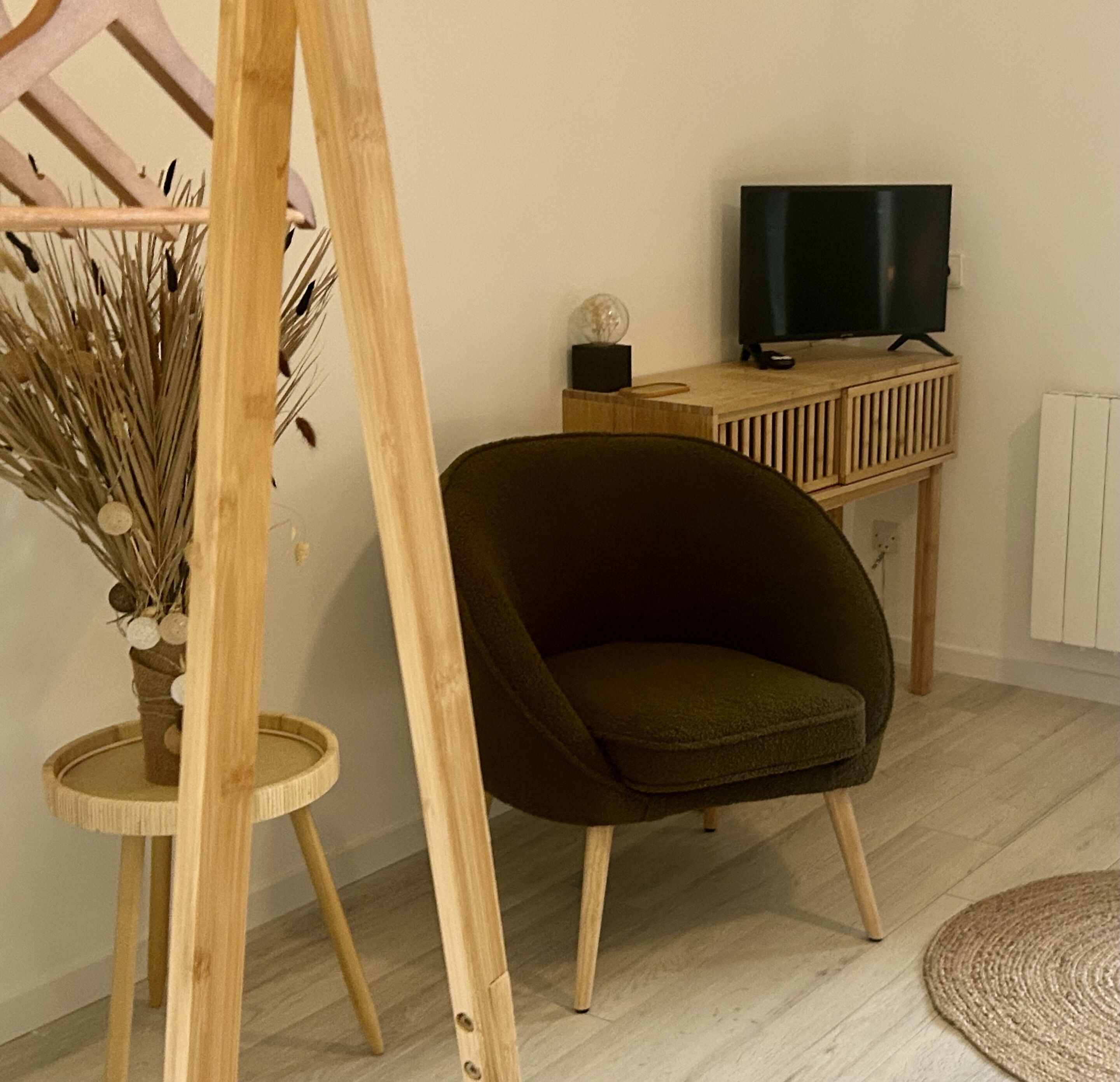 Une pièce comprenant un fauteuil vert foncé, une table d’appoint en bois sur laquelle est posé un vase contenant des plantes séchées, et un téléviseur placé sur un meuble en bois.