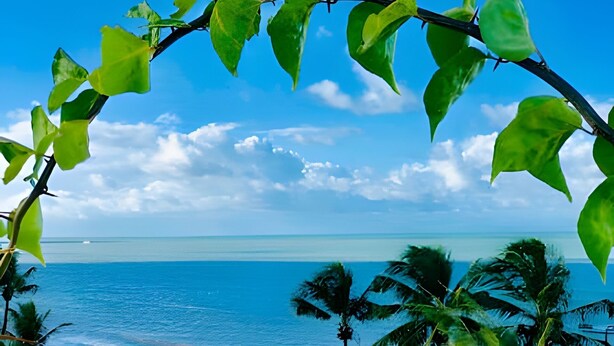 Vista da praia emoldurada por palmeiras e um céu limpo.