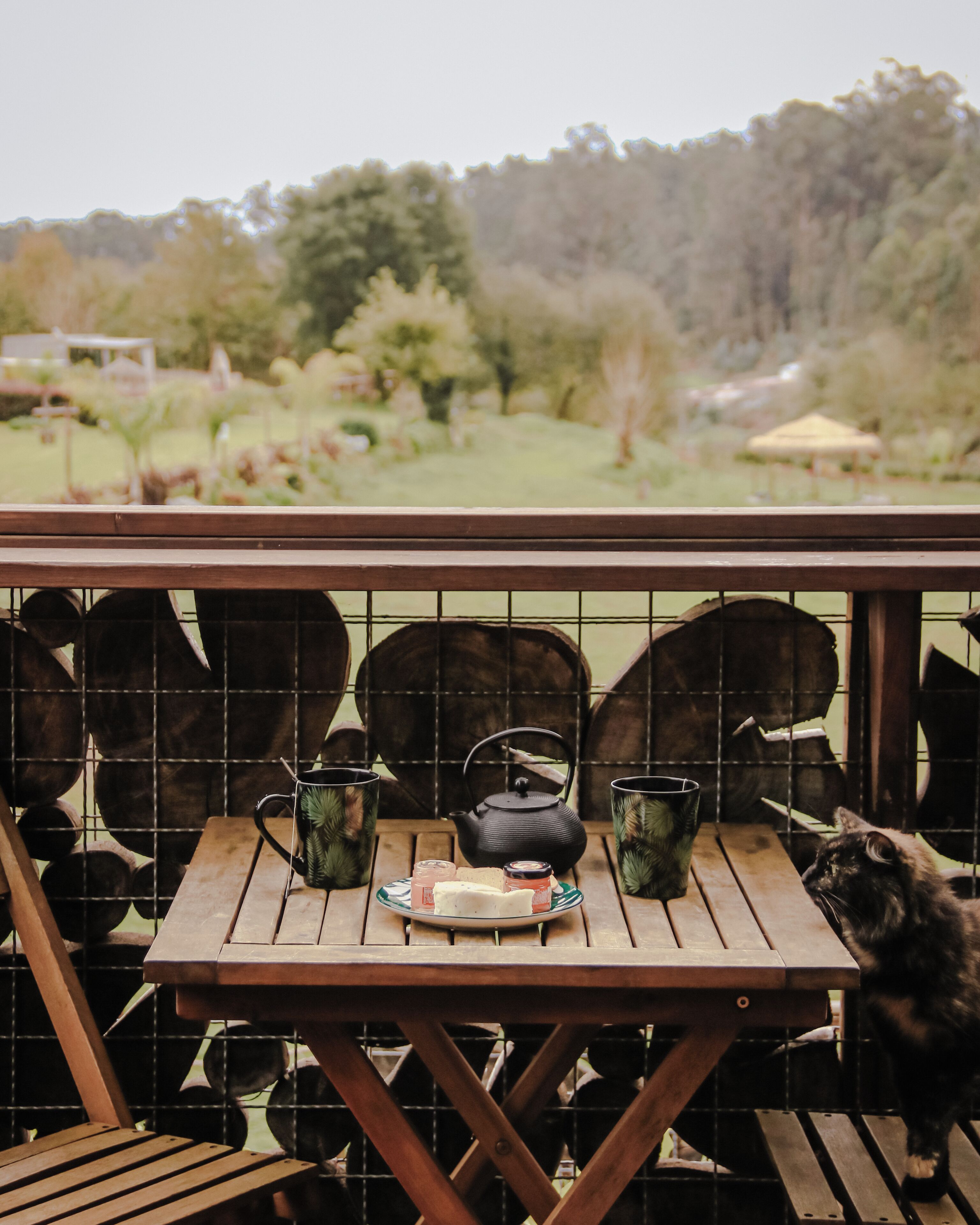 浪漫平房, 厨房, 花园景观 | 客房景观