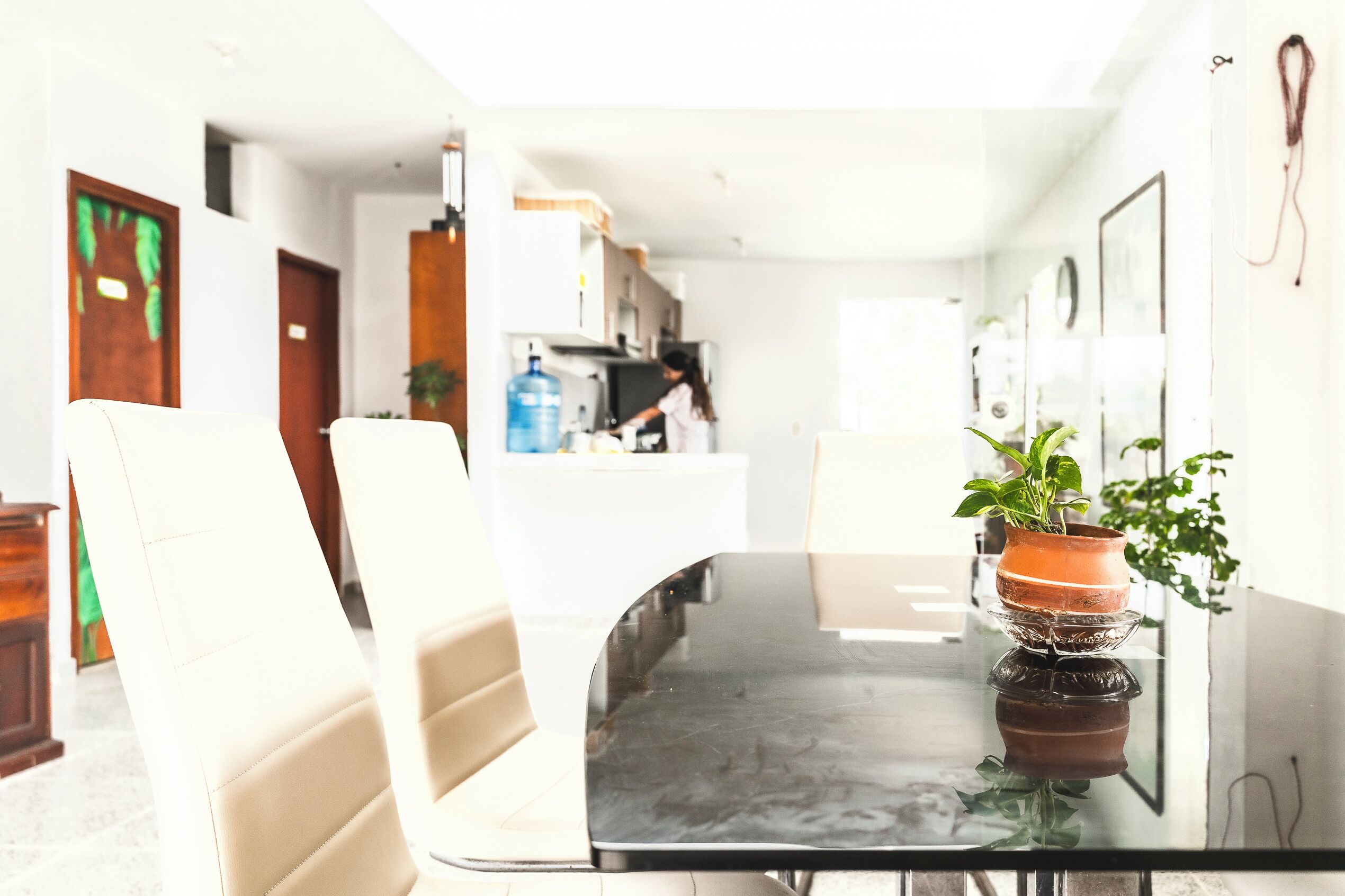 A modern dining area with a glass table, white chairs, and a potted plant.