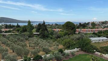 Ein angelegter Garten mit Wegen, Palmen und Blick auf eine Küstenstadt.