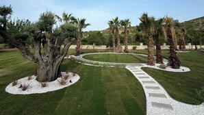 A landscaped garden with a winding gravel path, palm trees, and a large tree in the foreground.