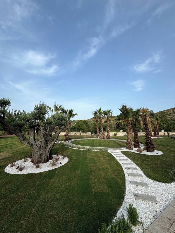 A landscaped garden with a winding gravel path, palm trees, and a large tree in the foreground.