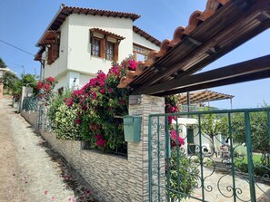 Property grounds - Ella's Sea View Villa, Greece, beachfront near Volos, BBQ, airy, family-friendly (Marathos,Agios Georgios)