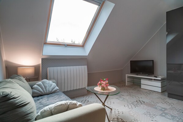 A modern living room with a sloped ceiling, a glass coffee table, a sofa, a TV, and a radiator.