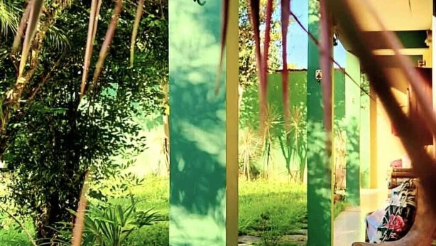 A pathway leading to a covered area with green pillars, surrounded by lush greenery and a tiled floor.