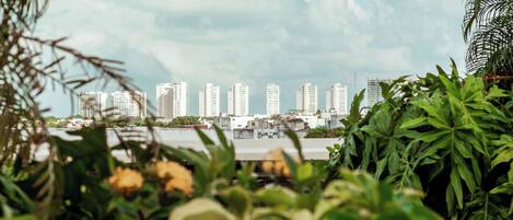 Un paisaje urbano con edificios altos al fondo, rodeado de abundante vegetación.