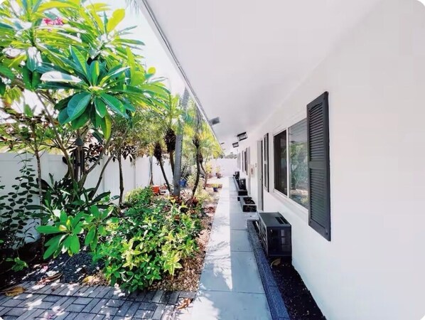 A narrow pathway flanked by lush greenery and a white building with large windows.