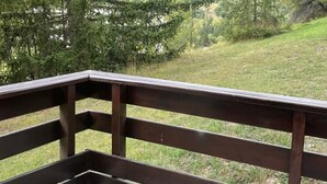 Un balcon avec vue sur une chaîne de montagnes boisée.
