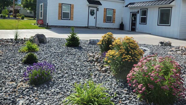 A two-story house with a black roof and white siding, surrounded by a landscaped garden with various plants and a gravel driveway.