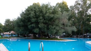 A swimming pool with two ladders, surrounded by trees and a few buildings in the background. - Mobile home with air conditioning, terrace and pool (Santa Lucia/Nuoro)