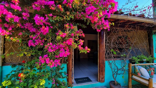 A house with a vibrant pink bougainvillea climbing over the entrance, a wooden bench, and a potted plant. - Pousada Pura Vida (Itacaré)