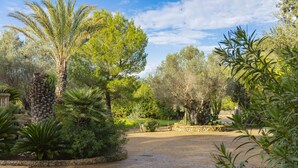 A paved garden pathway surrounded by various trees and shrubs. - Villa Can Emmes (Alcúdia)