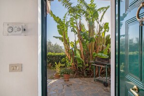 Una entrada que da a un jardín con plantas en macetas y una carretilla.